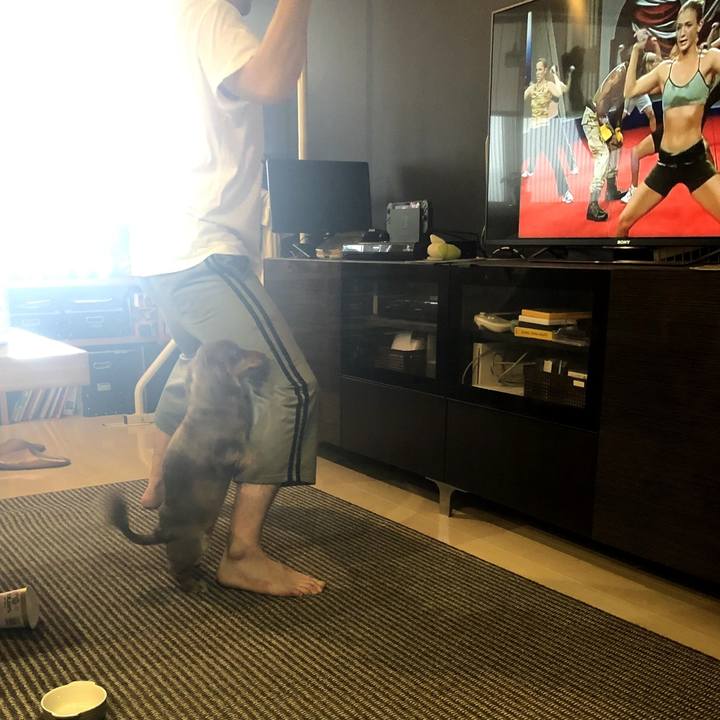 D408c061 3f17 4099 9393 5a9e820735b9 1586674004526