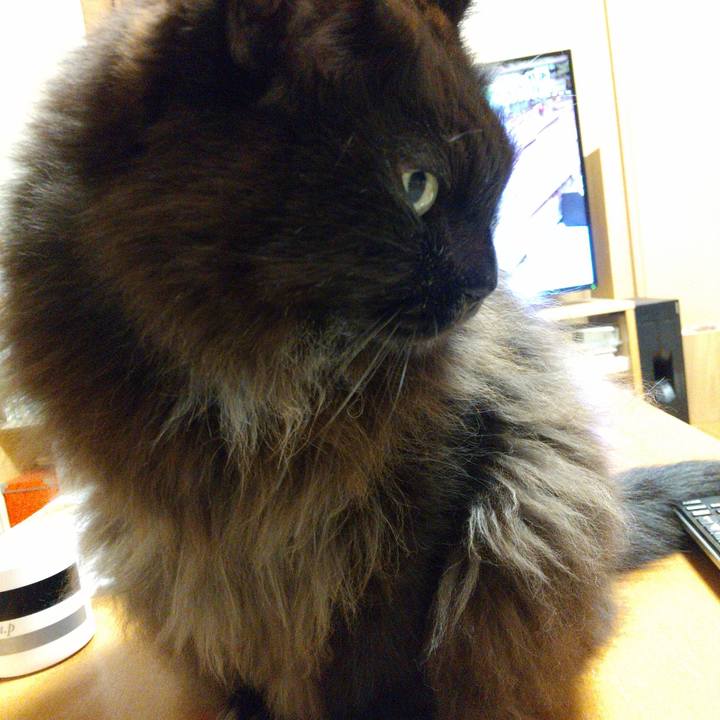 D408e8b8 3934 4259 bef2 f56b24fb37bf 1640260949302