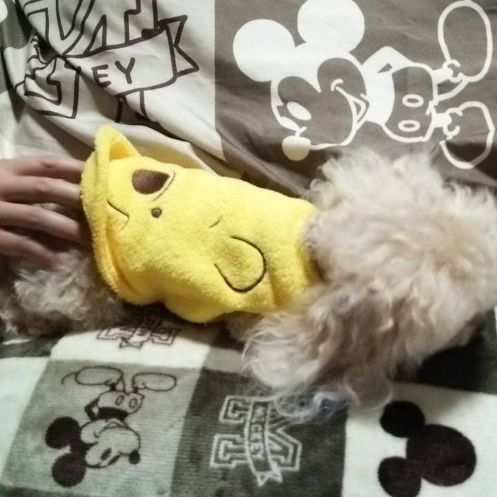 D408ffb9 9297 489a bb20 d14f548c8a61 1542805388382