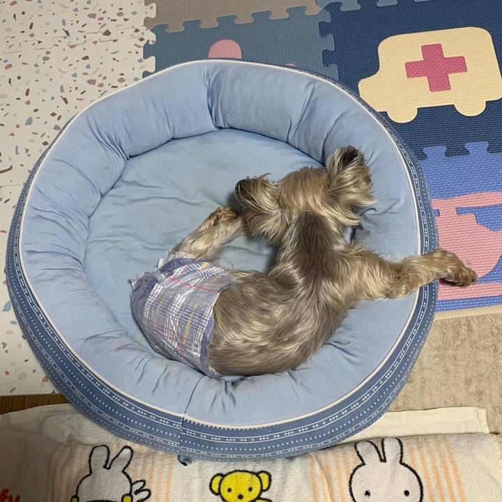 D4092903 5884 4ab9 879f 25adf3c5bfdb 1686046547196