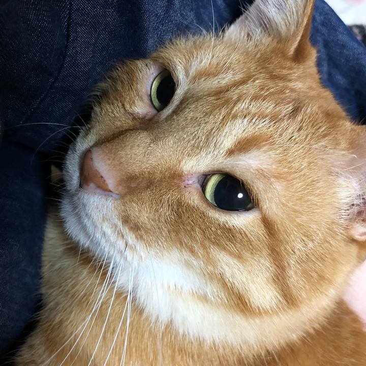 D4092f29 0600 4407 9585 fe1bc044bd76 1638795187191