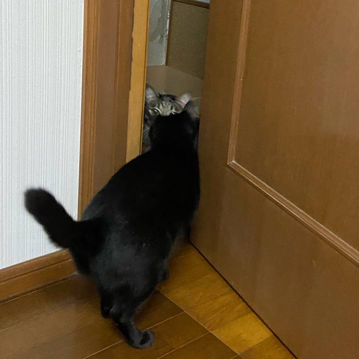 D40935aa 2d9e 486b 80d9 14497fc3b7aa 1665838992584