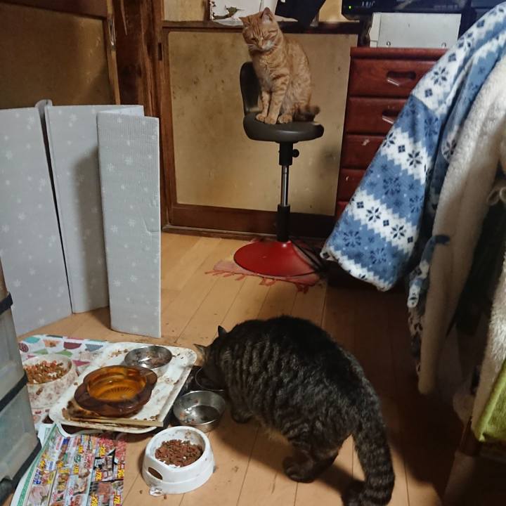 D409d802 95eb 4117 a2c9 e8efbe3745f5 1649066307432