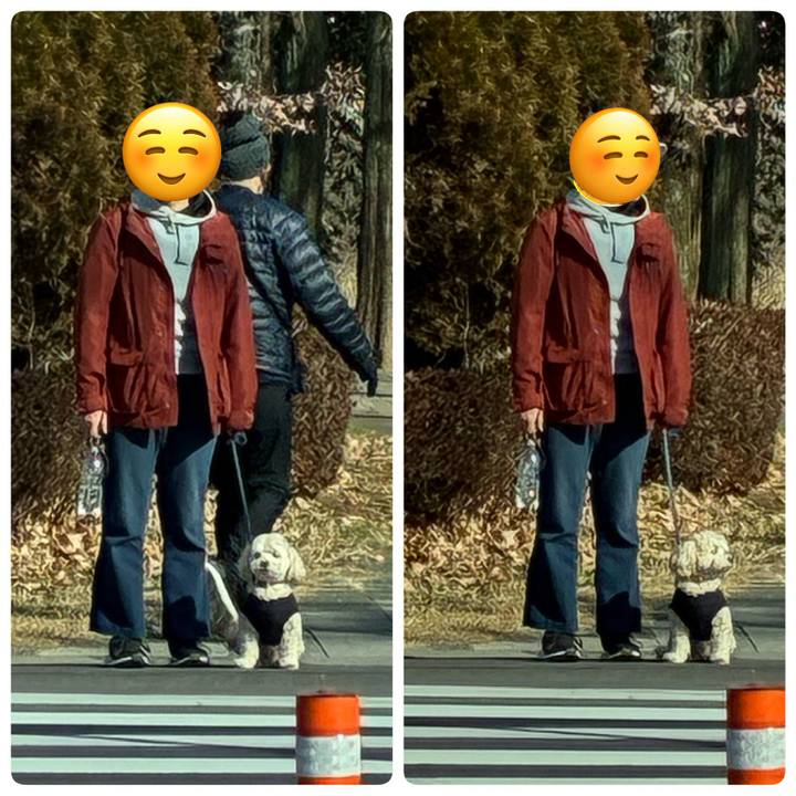 D409e8e0 5d52 40c6 9505 e5547017beb9 1768950174522