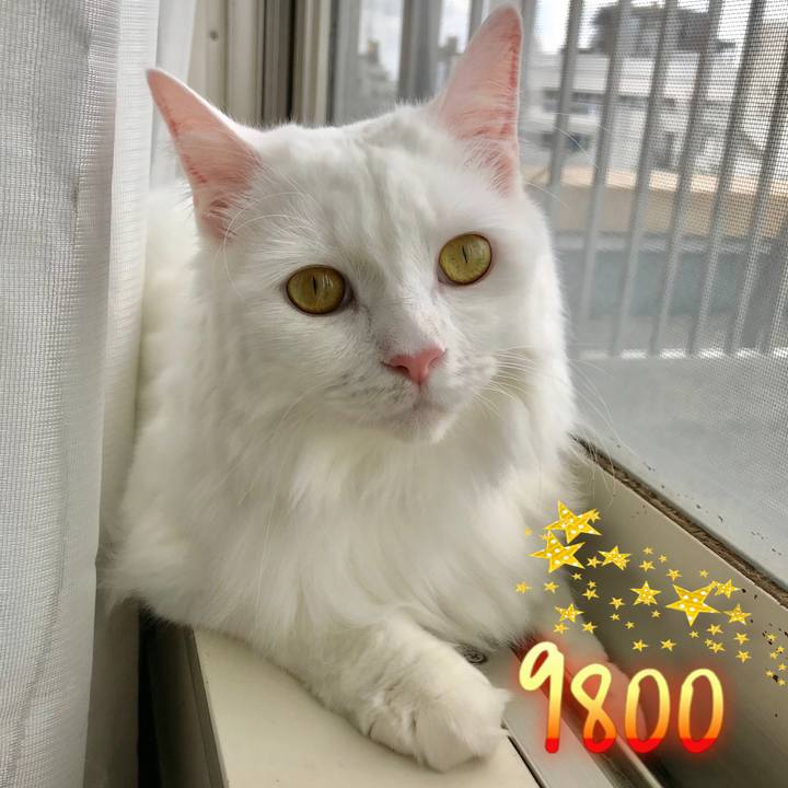 D40a8b9d d3a4 4cd8 ab8d 3e98a0dbe96a 1534726571169