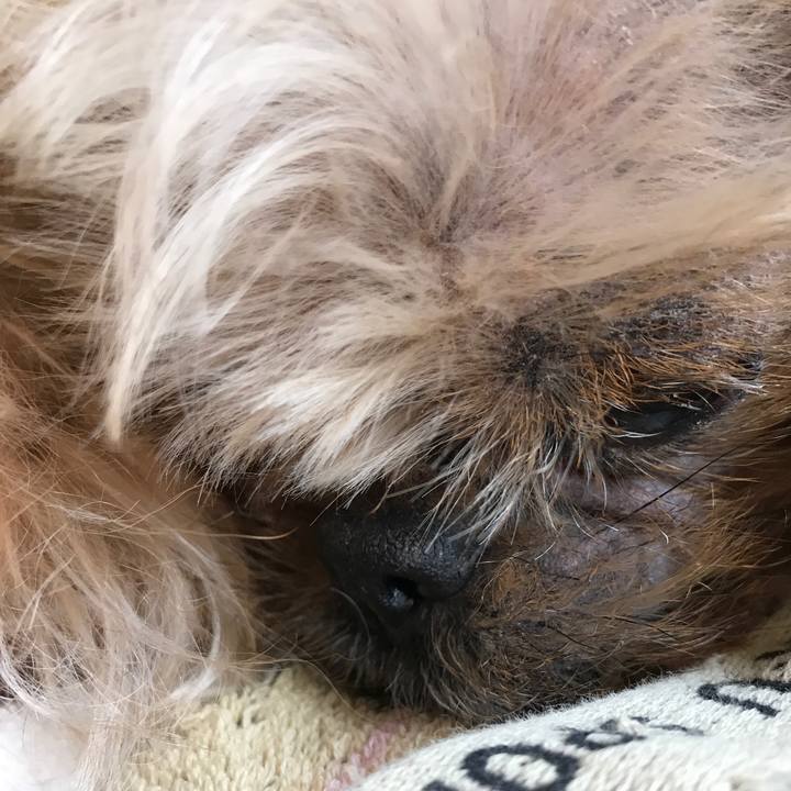 D40ab49a a9e7 42e0 acce 970f0f1f8faf 1527033666911