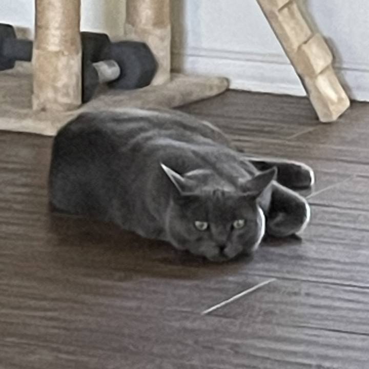 D40ad4c7 8171 4dd8 a4fe 538e7ad0531c 1769549705915