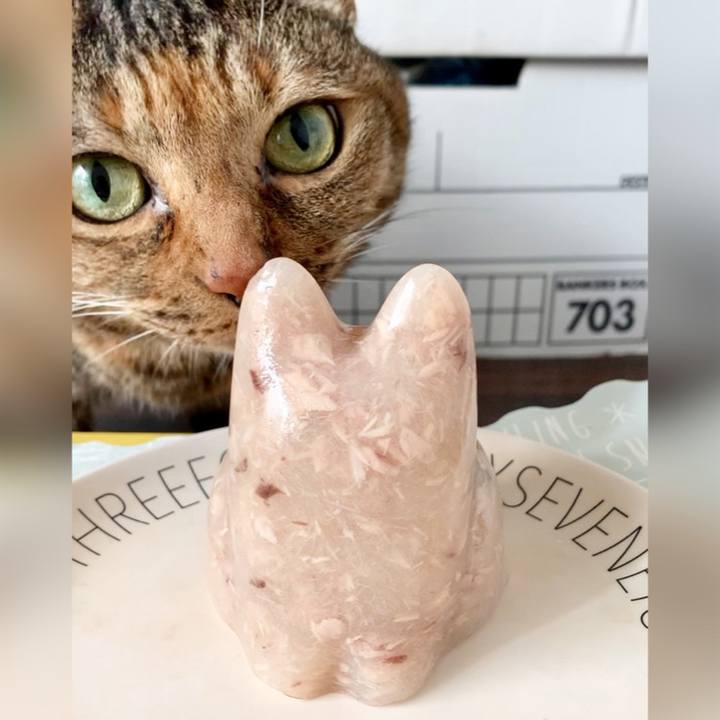 D40af860 f3c2 4044 832b 7160dc9f3ca7 1694267387694