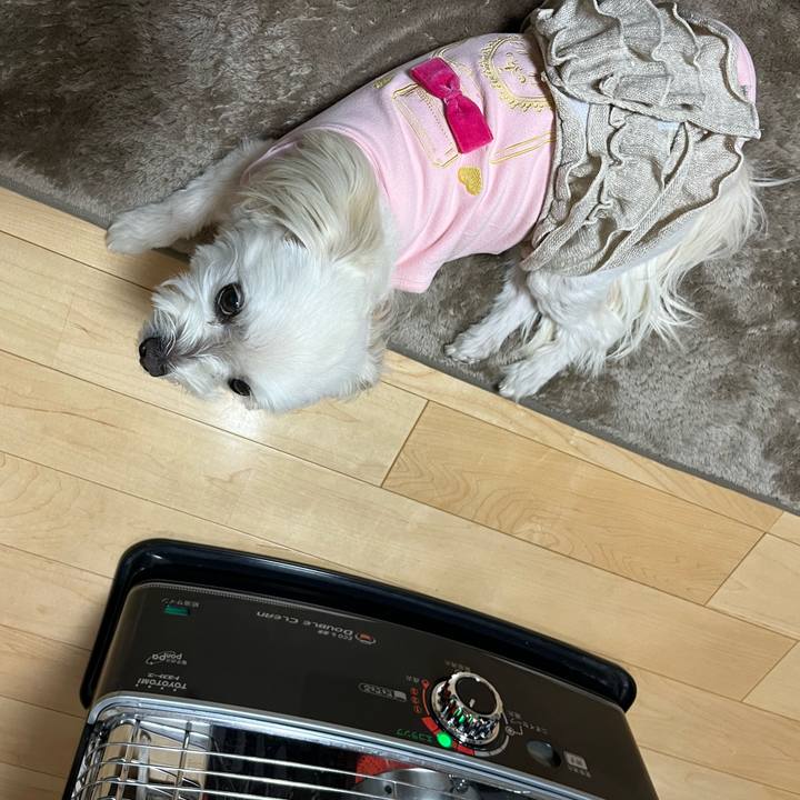 D40afbbc 3c62 42bd a1e1 e74ac37b0a37 1675851725637