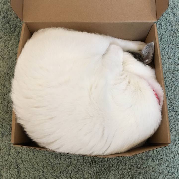 D40b1523 a38b 4f5d aee7 6f7e70139bf8 1536893681206