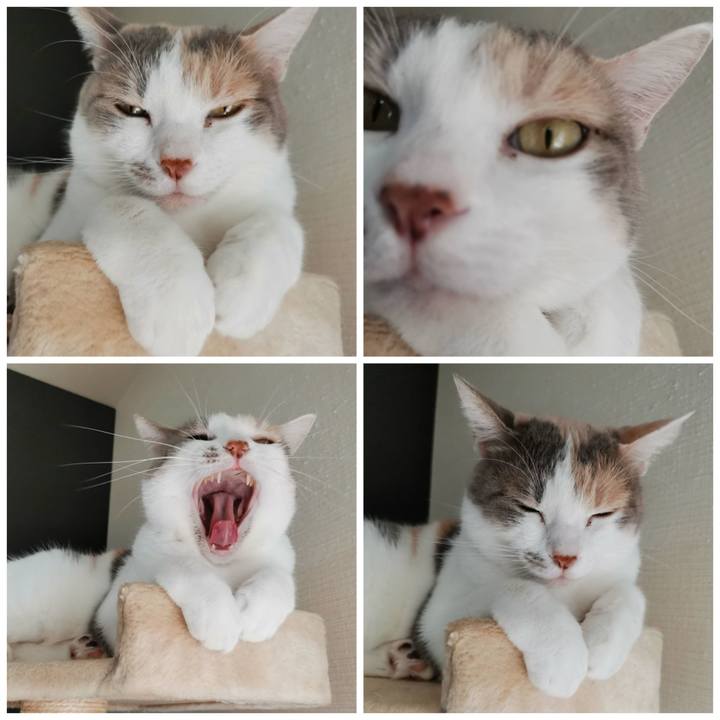 D40b301b 92fa 4940 97d8 77096c85b394 1632881170917