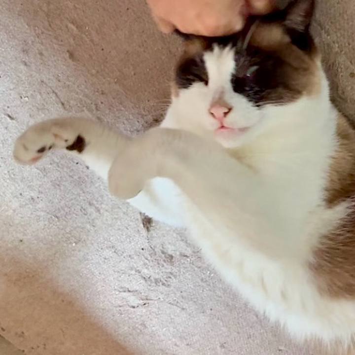 D40b4bac ea2e 4d70 90d4 9bbca3ffb43e 1751505986454