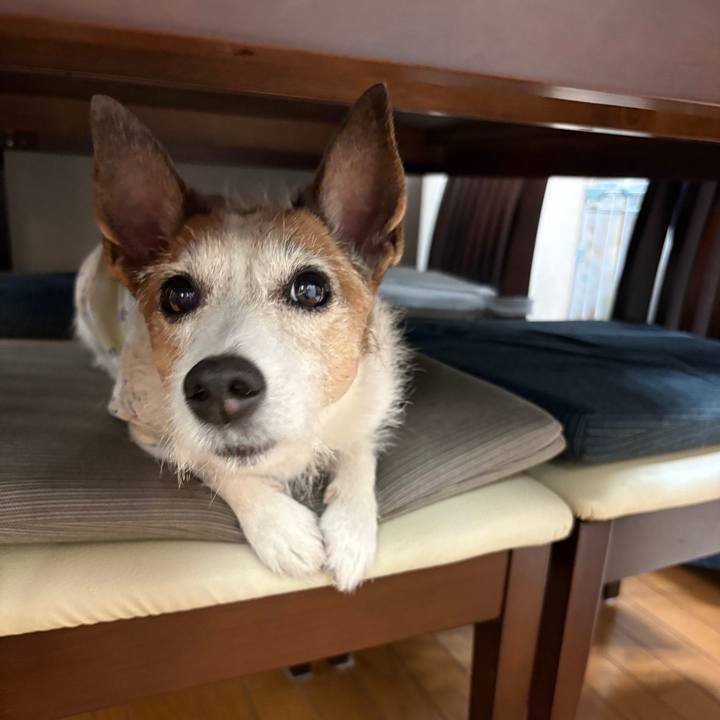 D40b594a a260 4ab7 b958 63bd0443614a 1758934817823