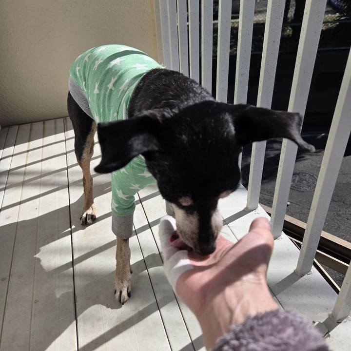 D40b6d66 4fdb 485c 86ec f9b443409aca 1771475922307