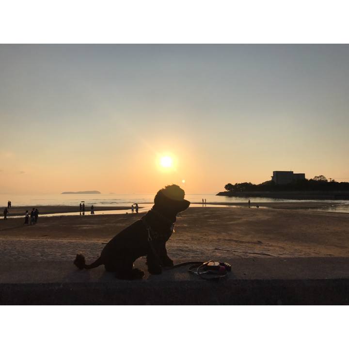 D40b7a5c d840 4e9e a64e 4e8a2b530458 1540544571727