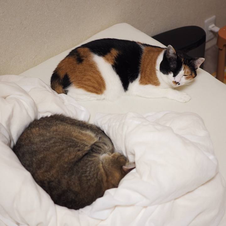 D40b9a09 69e8 44e6 a605 da7c9f989af6 1539484182859