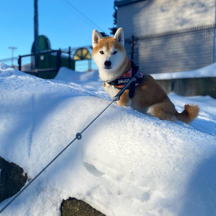 D40bc0a9 62c5 4ff5 9980 5dc59db84a70 1641436245660