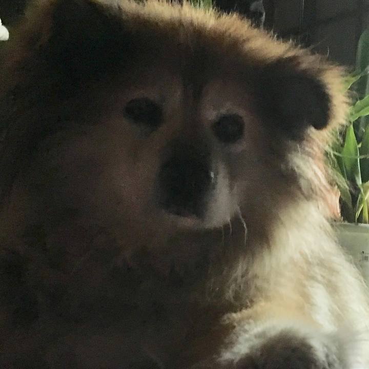 D40be9eb eecb 43e4 a9c1 416165901b9a 1586118303301