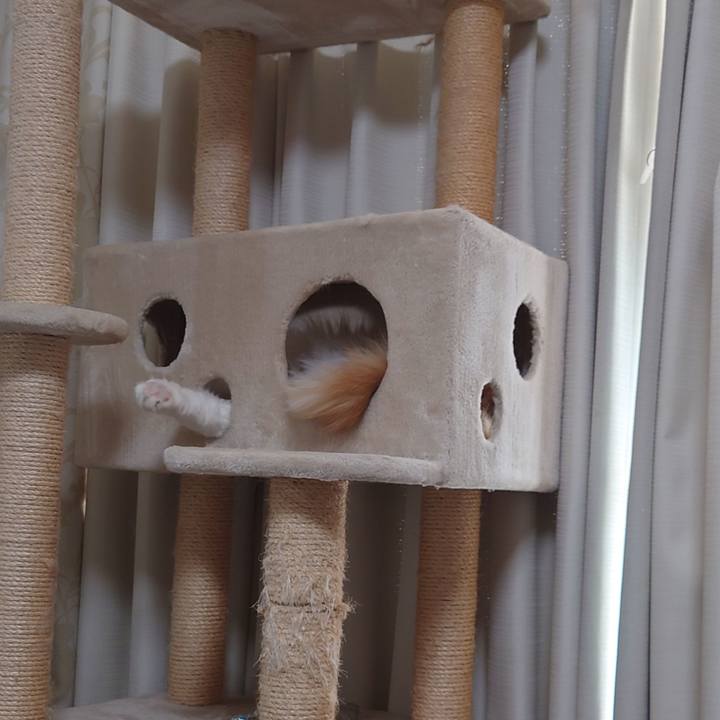 D40c07f1 db9c 4f8e 846c ddc336eb0fac 1635051830954