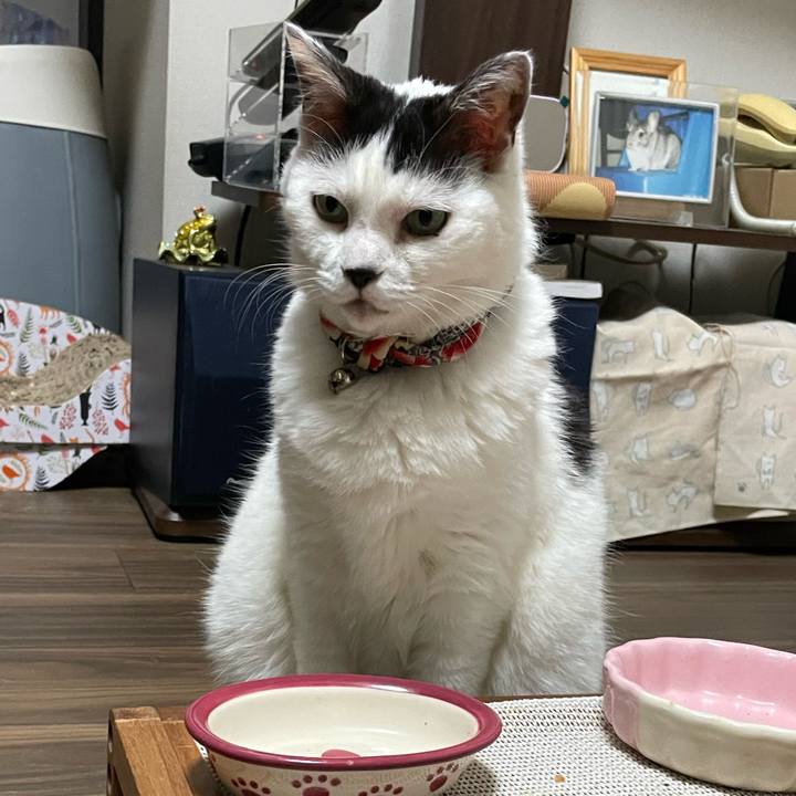 D40c120e 0c79 49bb a2c5 b2924c43e8f7 1715211463203