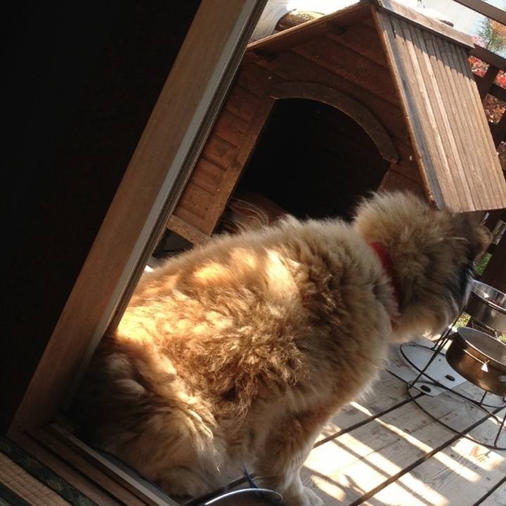 D40c337a b4ec 46b5 aebe 87446e4d7e12 1603060194361