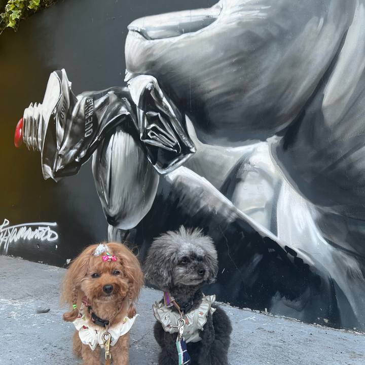 D40c4d9e 584d 4f75 bb34 73007e5c7b14 1689896571651