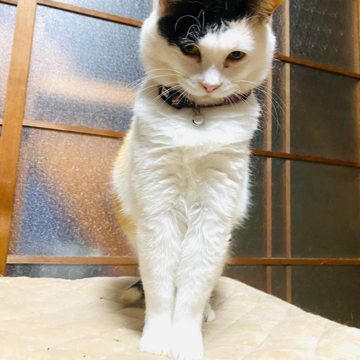 D40c9fd4 e509 46a3 aca0 14603b447ba5 1653336573509