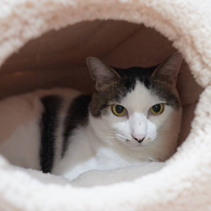 D40d0020 e1c7 4aa0 b647 b22f2486e870 1602415642022