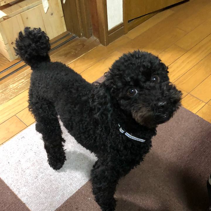 D40d1179 2e24 4bd6 8325 5a68120ab67a 1513852598180