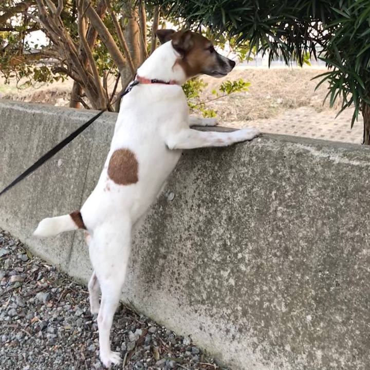 D40d2116 641e 4d49 bdbb f807654cddac 1520155609793