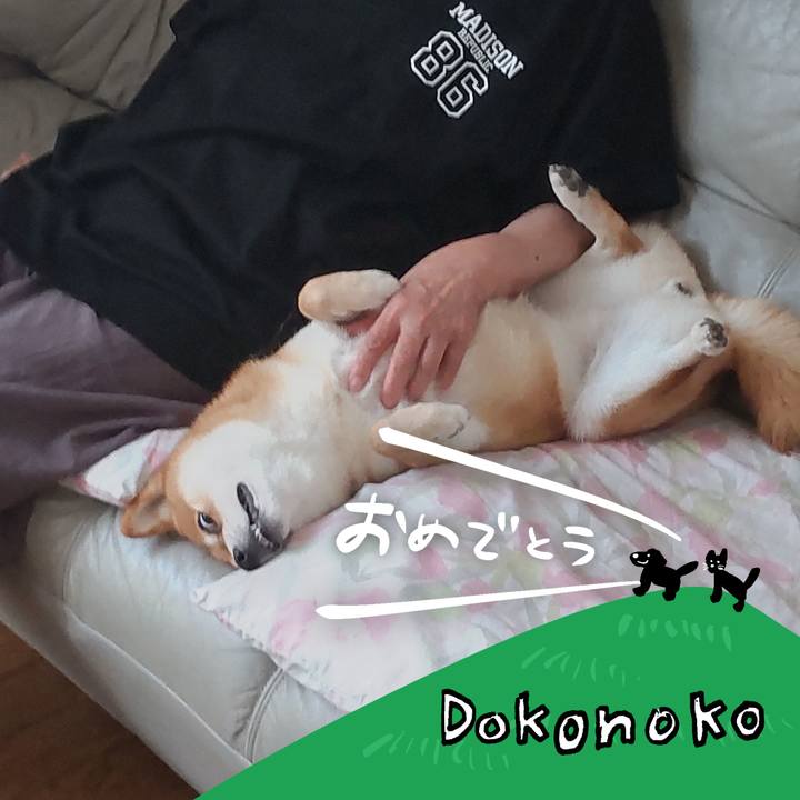 D40d2aaf 6832 4f97 8916 d6d3bc9c0e5e 1685933553224