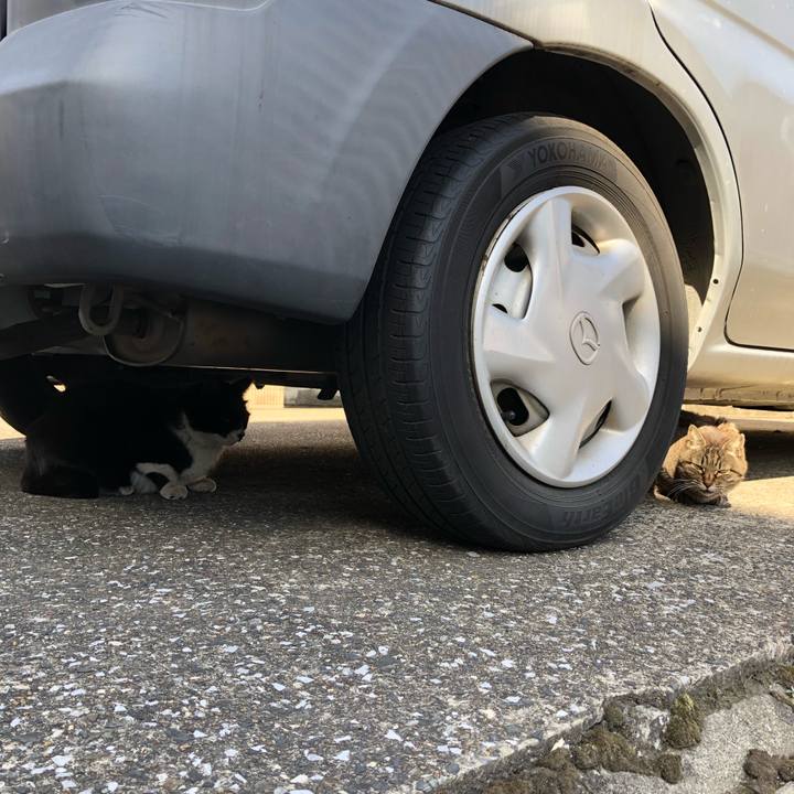 D40d2c75 f255 454d 93d3 e50a14e41205 1554472673275