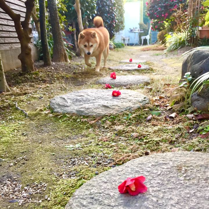 D40d3cd4 39d8 40aa b57e 6df0bdf2f476 1514259507470