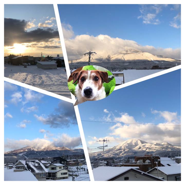 D40d66d3 be0d 4806 b511 5a94b8159eb8 1575069449448