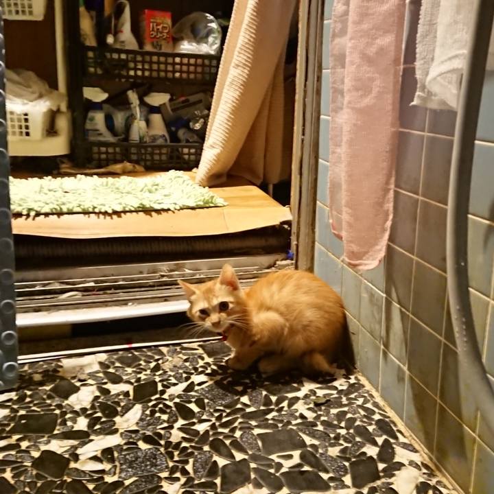 D40da3b3 bb7c 4ea3 a6a6 880530f92879 1630835087758