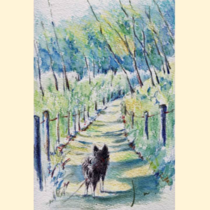 D40daf8c e705 4b20 85b3 315a28e80e80 1612739897860