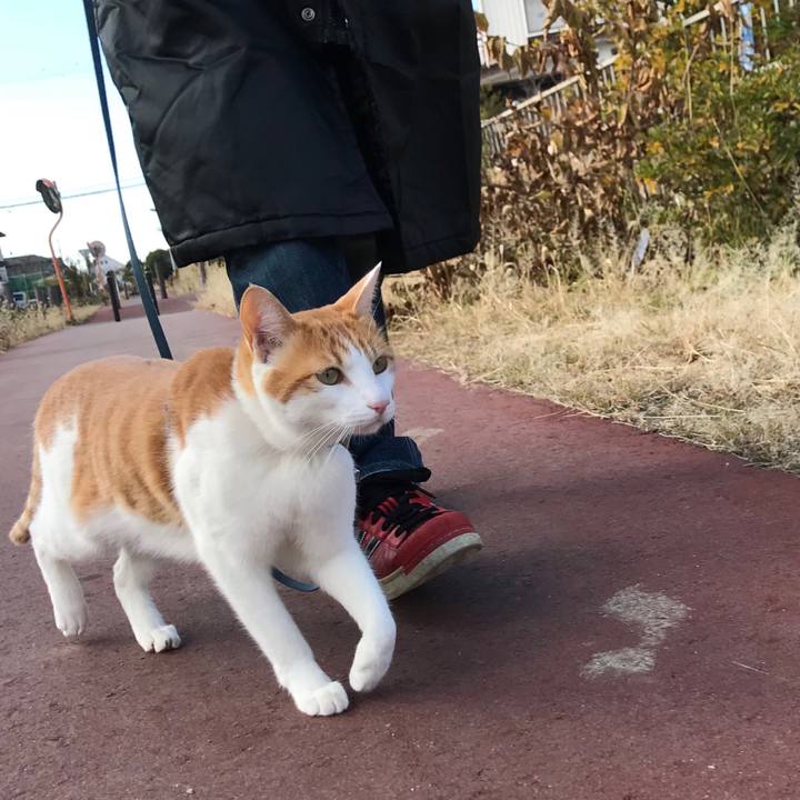 D40db9d4 9a9b 428d 93a2 b34a3a9b674b 1512879461522