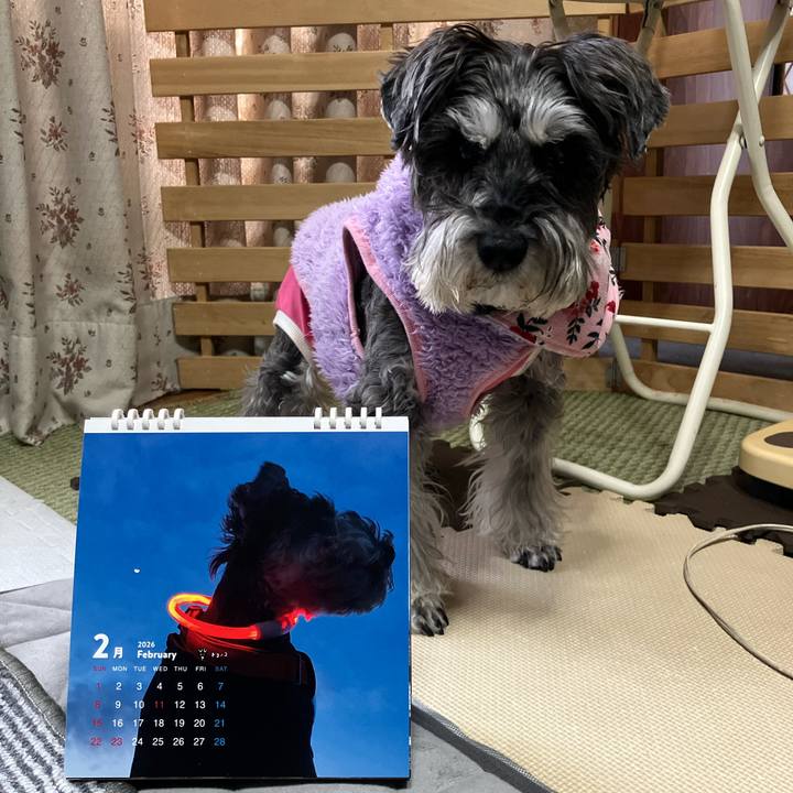 D40dd1ef c973 4a7c a002 d04104e25245 1769937545045