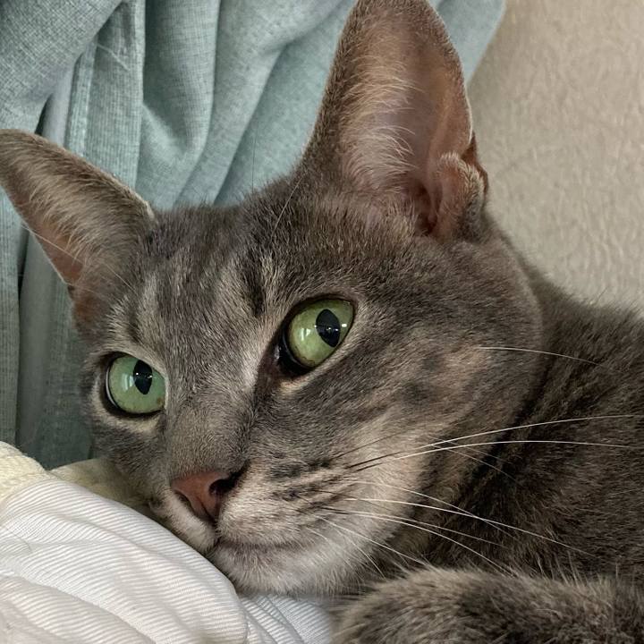 D40deb25 712b 4cfd b681 005ed0fbbe87 1658546866127