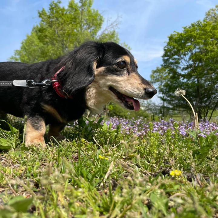 D40dee1f 37fa 4b32 97dc fc2eae7641fd 1650372862411