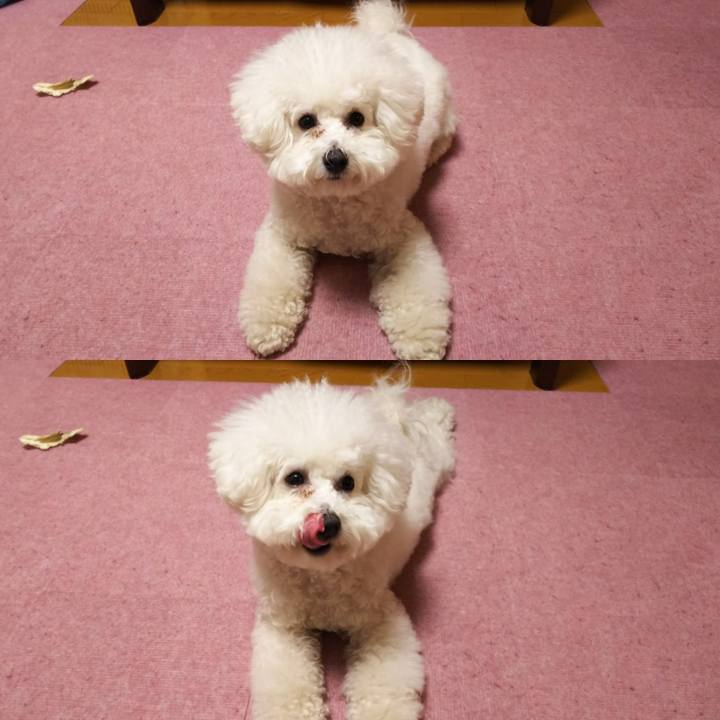 D40e0ef3 305c 459a b31f 4922c8e7c53c 1517136992448