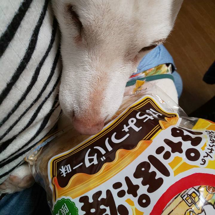 D40e5305 0b8f 4db5 b6bb dcbcf8f91a31 1550921903339