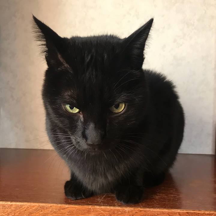 D40eabda 4452 4870 a4a6 4d25b02197cb 1517276216900