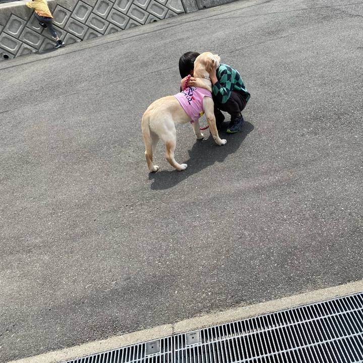 D40eb81c 0f83 47ad 8970 68593135cbef 1617937895140