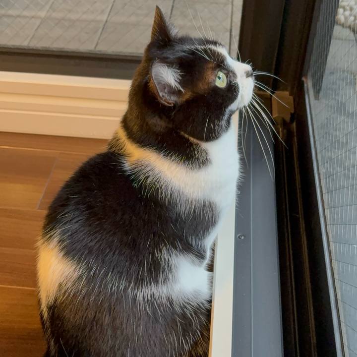 D40ec797 9463 401c a17d fa14179fa0ee 1768171786460