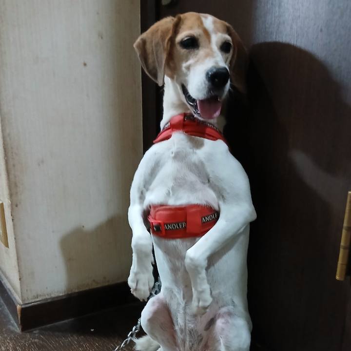 D40ed62e 612b 4298 97c1 9c15d6533158 1760255424871