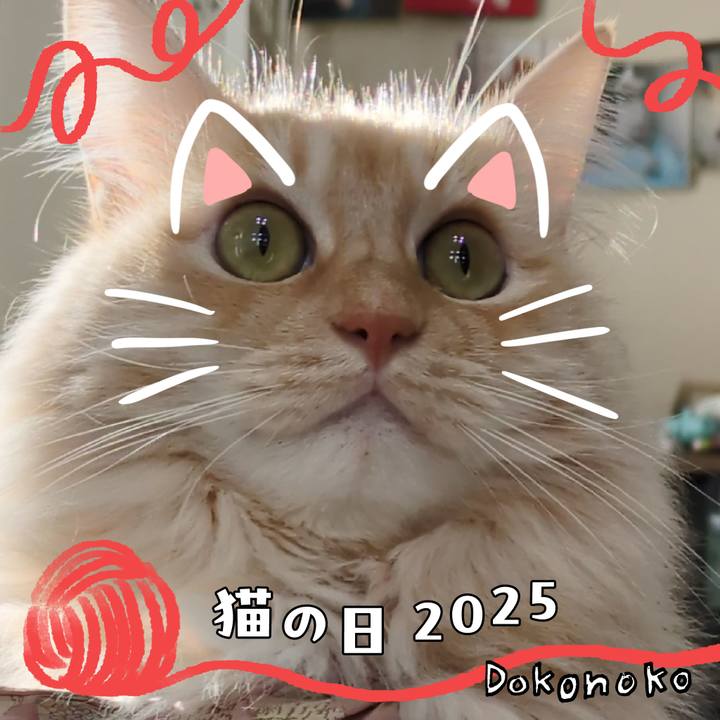 D40f29c7 c6dc 4ef9 aea6 dda10016aac0 1740397627901