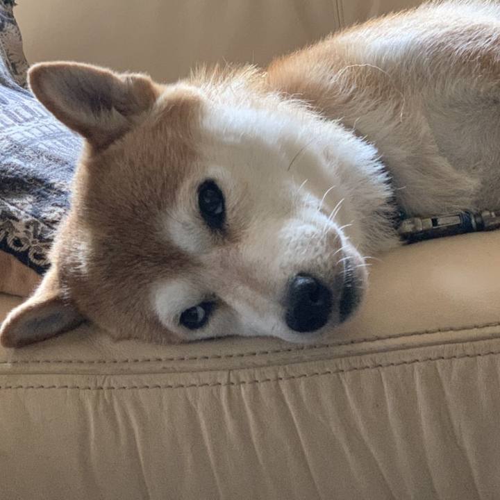 D40f5207 ebaa 41ce b126 a5015b2796b9 1564459741072