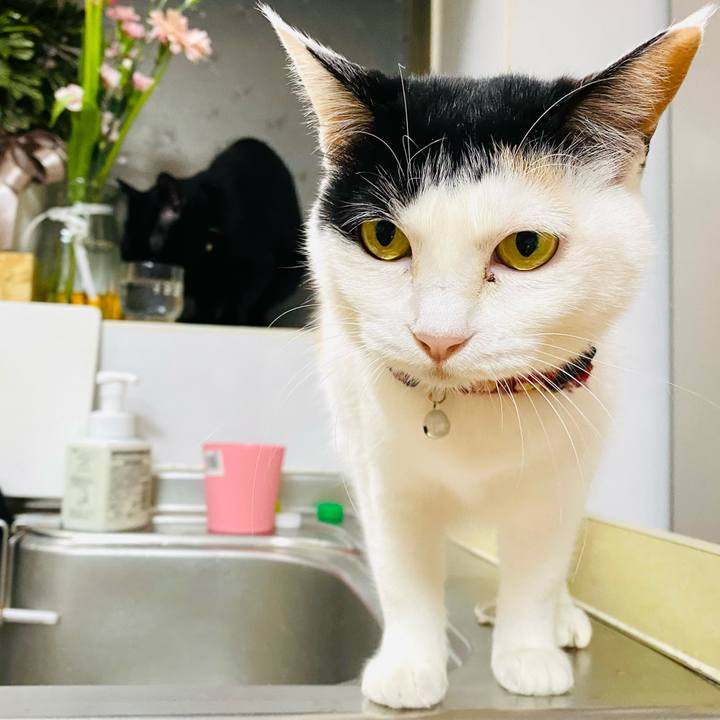 D40f73c7 e72d 4eaf 950c 199892878ba7 1680431961445