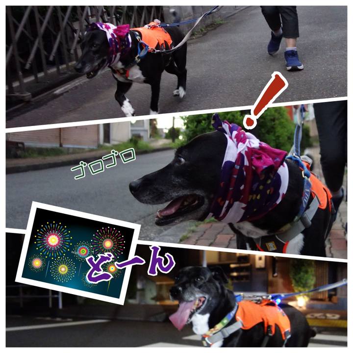 D40f75a0 7146 4c6e b78b 92ae0d7ffe2c 1722082030044